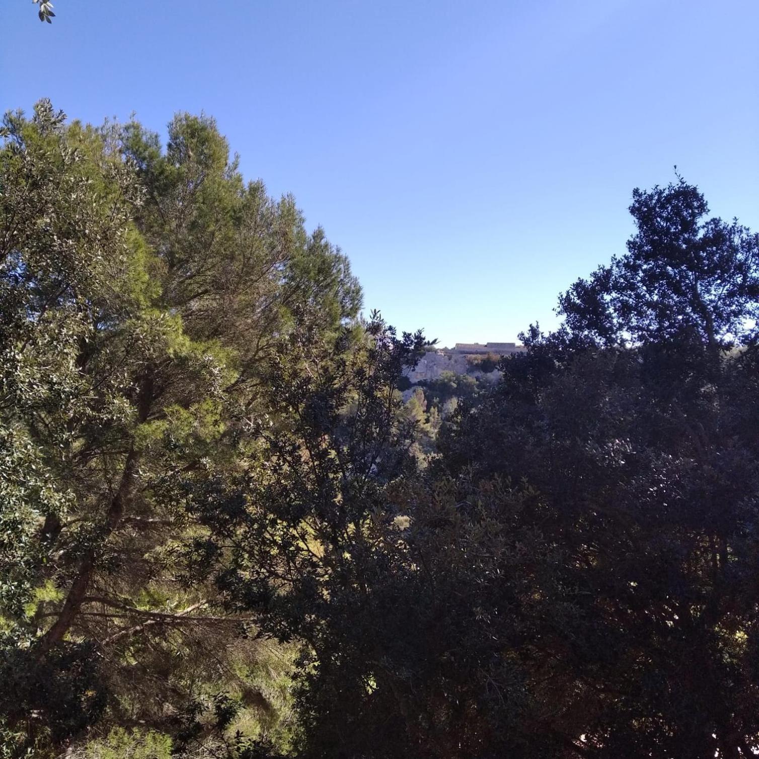 Appartamento Es Niuet Cala Galdana  Esterno foto